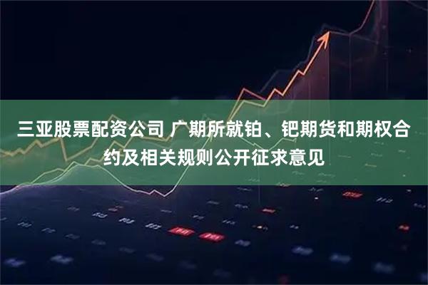 三亚股票配资公司 广期所就铂、钯期货和期权合约及相关规则公开征求意见